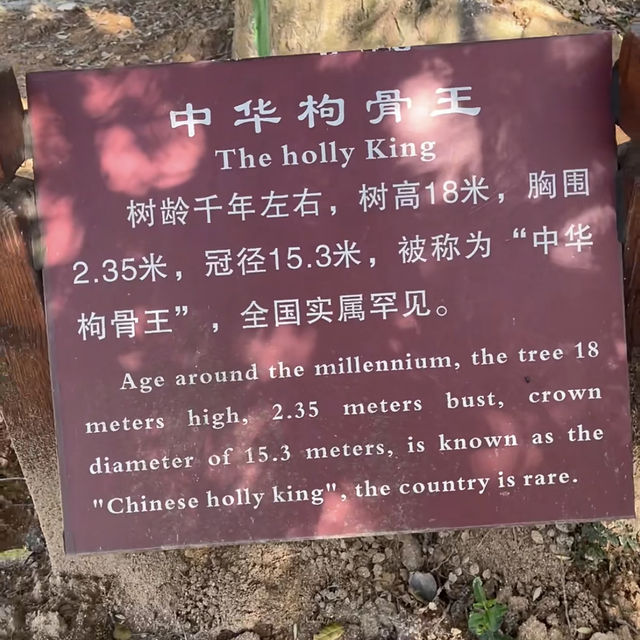 湖北黄石上冯古村｜九古奇村神秘面紗。
