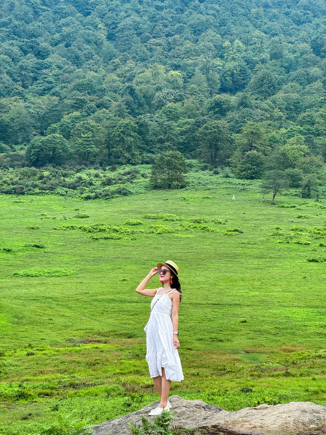 黑竹溪馬里冷舊｜成都周邊的小阿勒泰。