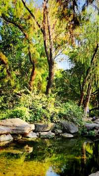 聽講西安豐慶公園錦簇芳菲，打卡過公園"山水綠叢中"才知曉。