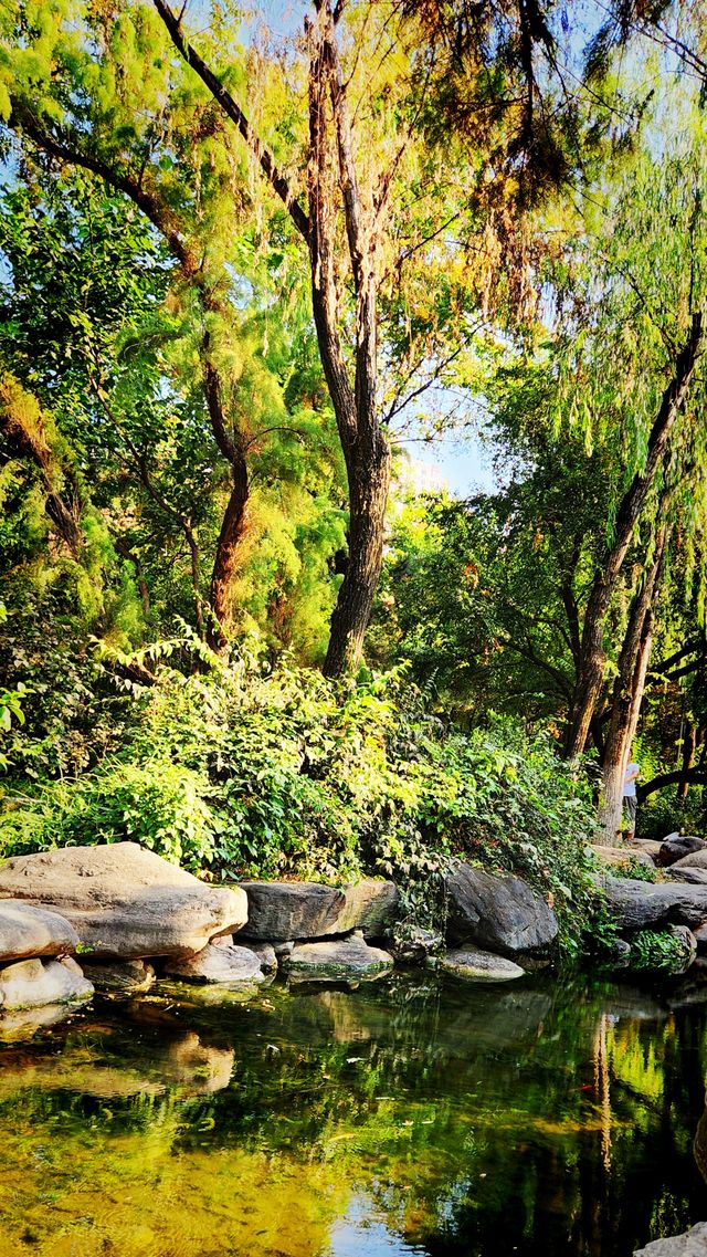 聽講西安豐慶公園錦簇芳菲，打卡過公園"山水綠叢中"才知曉。
