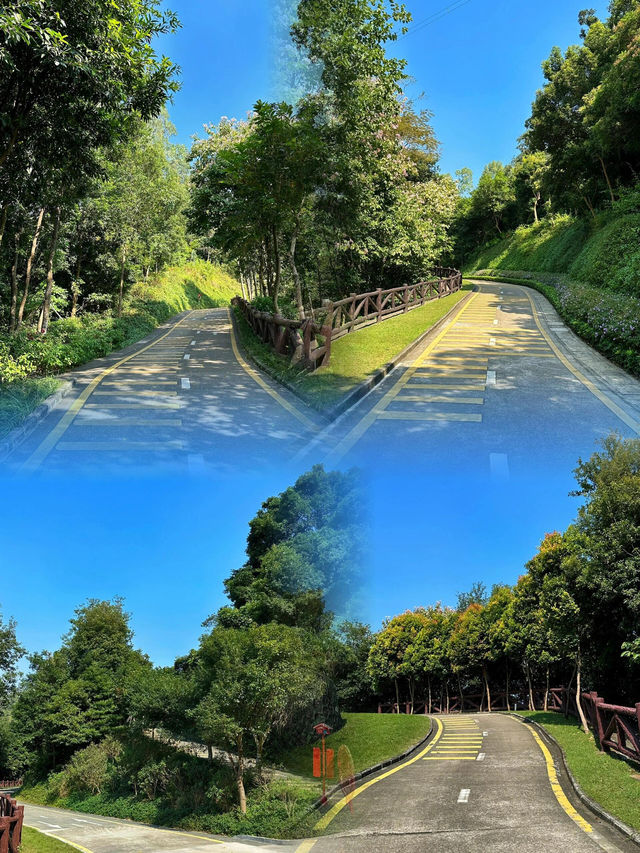 深圳的綠野仙蹤 | 銀湖山郊野公園。