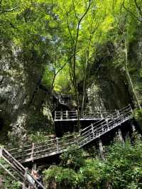 廣元曾家山——天然氧吧，享有溶洞王國和石林洞鄉之美譽。