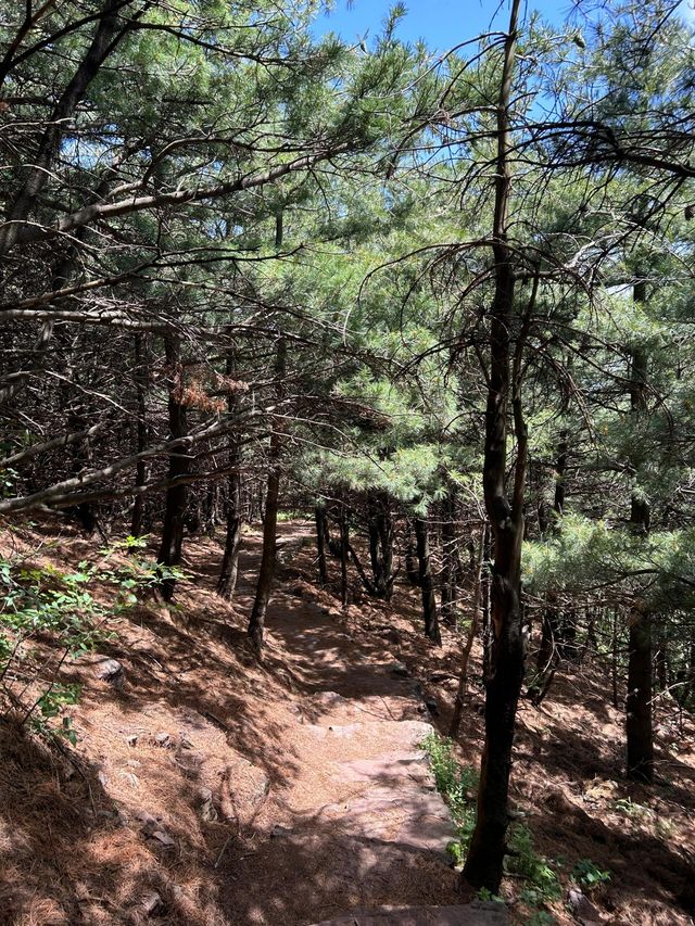 歷山舜王坪 | 山西小瑞士享受大自然的美。