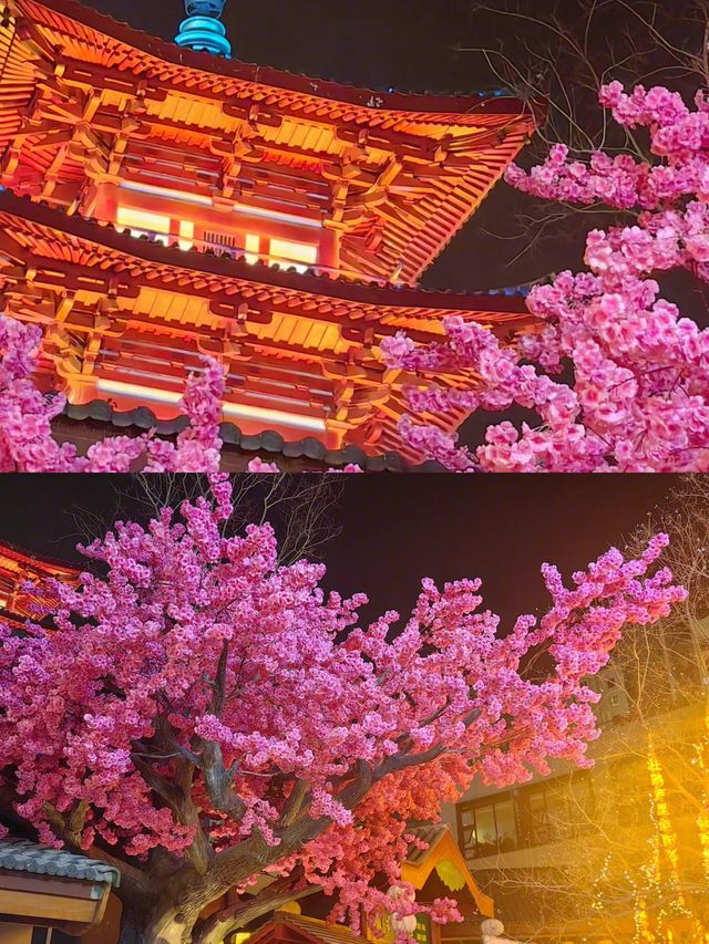 走，一起去看看中國的美吧！——安徽阜陽！。