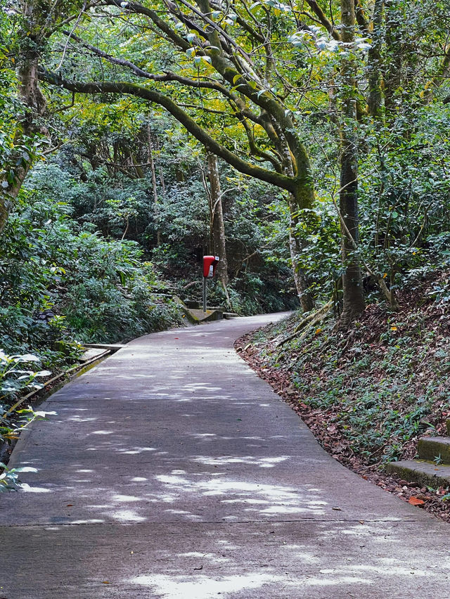 【香港徒步】不是爬山，是探索城市之美。