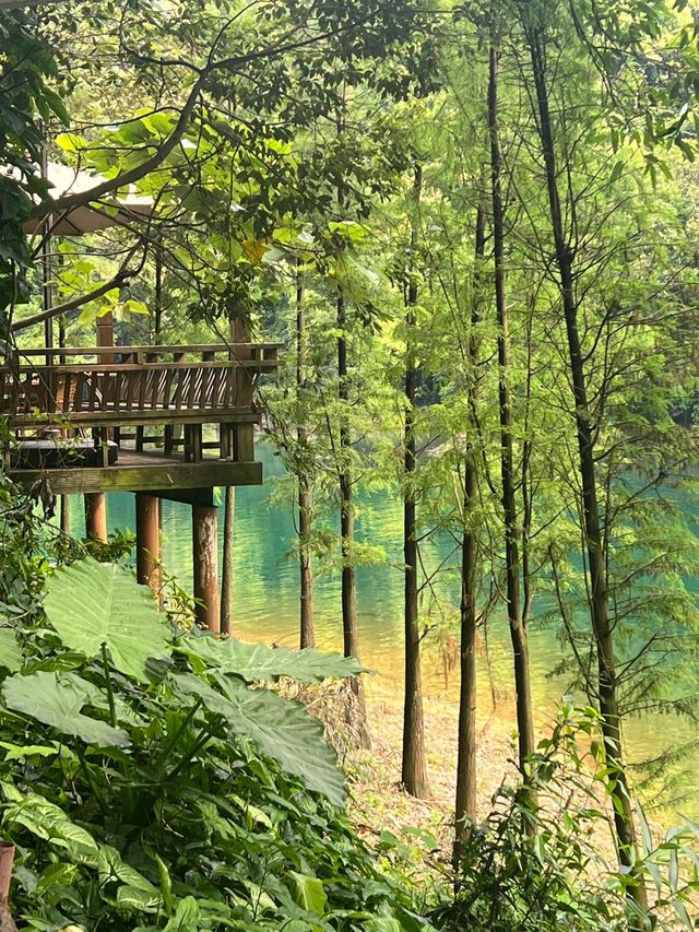鼎湖山蝴蝶谷人間綠寶石屬於廣東的藍月谷。