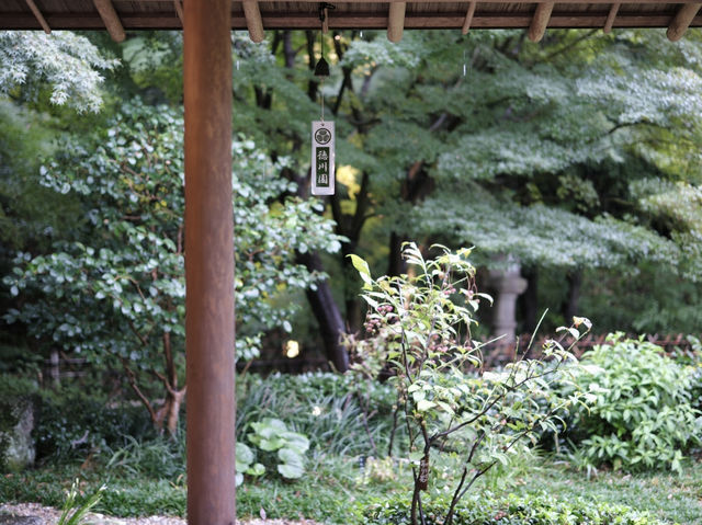 雨中漫步德川園：日本名古屋的靜謐之美 