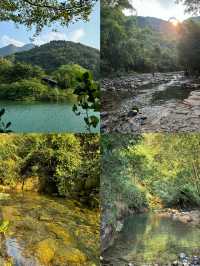 鼎湖山、紫雲谷，沐浴負離子之旅！。