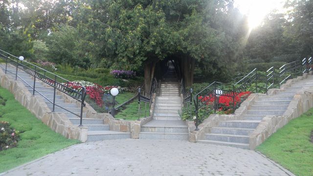 弗拉基米爾主教花園：城市綠洲。