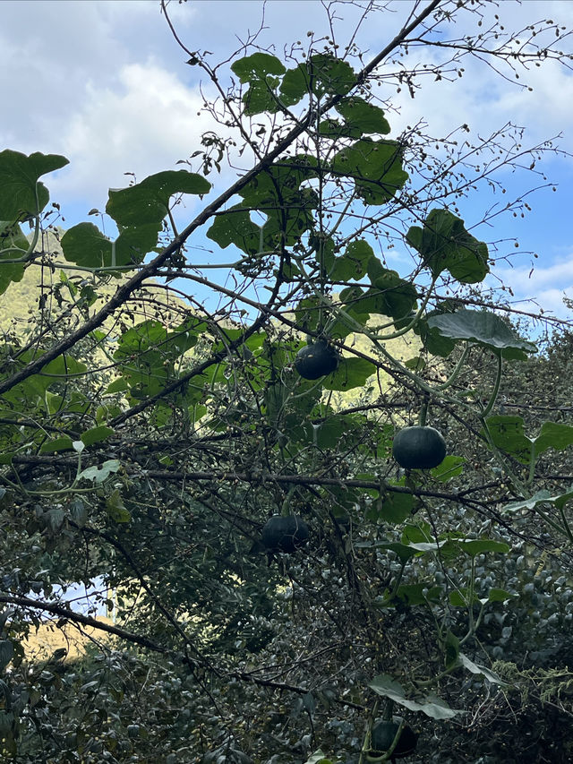 白雲山小居。