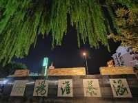 阜寧夜景。