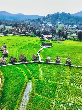 5-Day Autumn Trip to Laos: Miss It and Wait a Year!