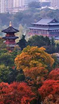 根本不敢想，錯過興慶公園的秋天我有多遺憾。
