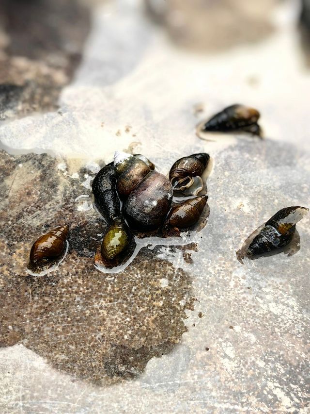 長沙出發 3 小時內體驗度超佳古鎮～。