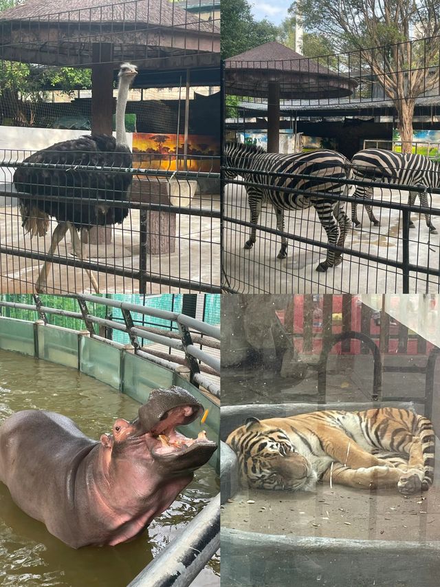 《佛山中山公園，休閒與文化的樂園》。