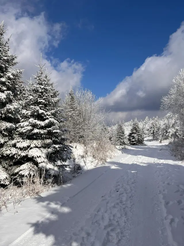 Today's Snow Ridge live! 