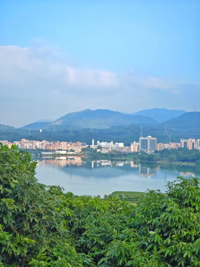 Shenzhen Taojin Mountain Greenway Travel Guide: See the mountains, water, and scenery. 