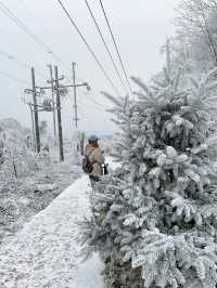 寶雞鳳縣嶺南公園|乘坐秦嶺小火車來看雪。
