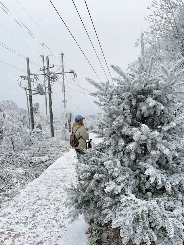 寶雞鳳縣嶺南公園|乘坐秦嶺小火車來看雪。