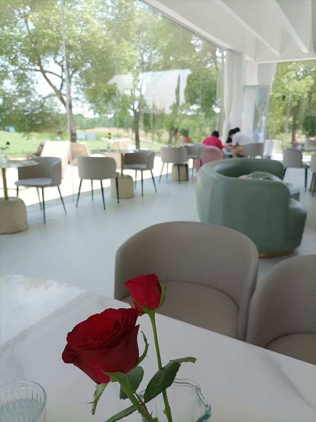 朋友圈被問爆的花海餐廳就在蘇州灣公園。