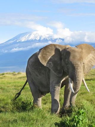 Perjalanan 12 hari ke Ethiopia dan negara lain | Panduan perjalanan.