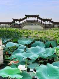 一朝入姑蘇～滿眼是江南。
