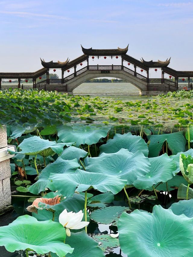 一朝入姑蘇～滿眼是江南。