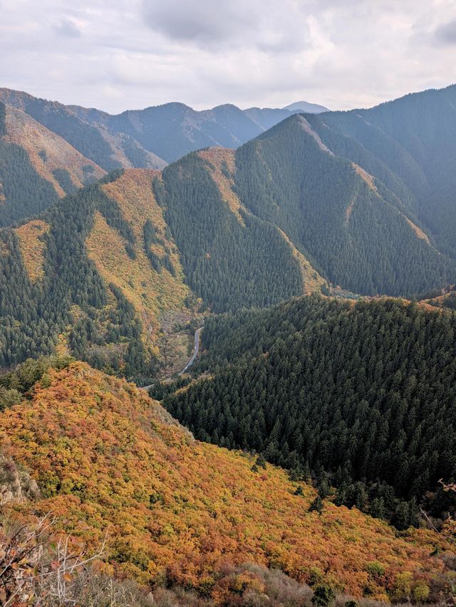 隴右名山蘭州興隆山 | 邂逅醉美秋色。