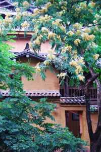 尋美之旅|諾鄧，有火腿更有美景的村莊。