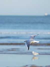 秦皇島衝浪全攻略
