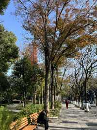 蘇州漫步：道前街-體育場路-定慧寺巷