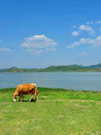 冬日錦州2日遊 輕鬆 get 美景