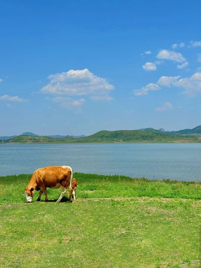 冬日錦州2日遊 輕鬆 get 美景