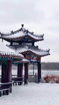 震驚我了南湖公園沉睡了一條龍