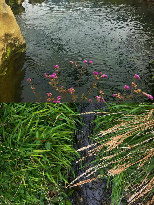 貴州|小眾景點|冰臼一個百萬年前的「冰川秘密」