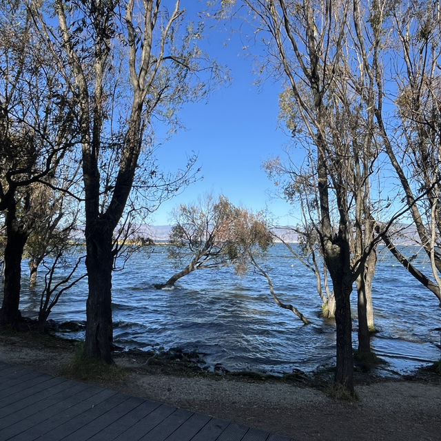 來一場治癒心靈的旅行