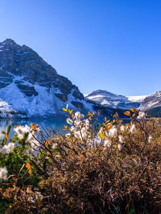 跨年好去處加拿大9日遊全攻略