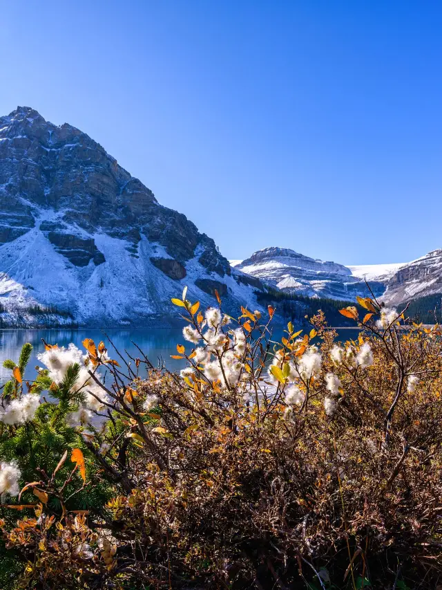 คู่มือท่องเที่ยวแคนาดา 9 วันสำหรับเทศกาลปีใหม่