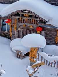 雪鄉｜這個冬天一定要來看一看現實版的狗熊嶺