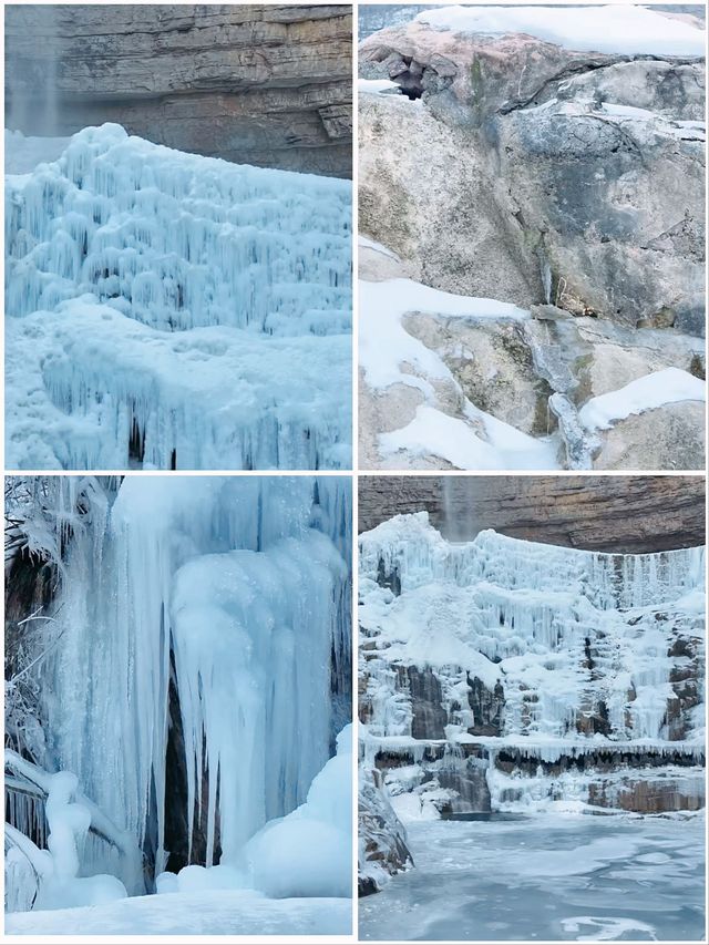 冬季賞雪 |  老界嶺雪景、冰掛攻略，必打卡