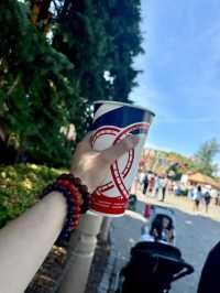 Canada's Wonderland: A Must-Visit Amusement Park