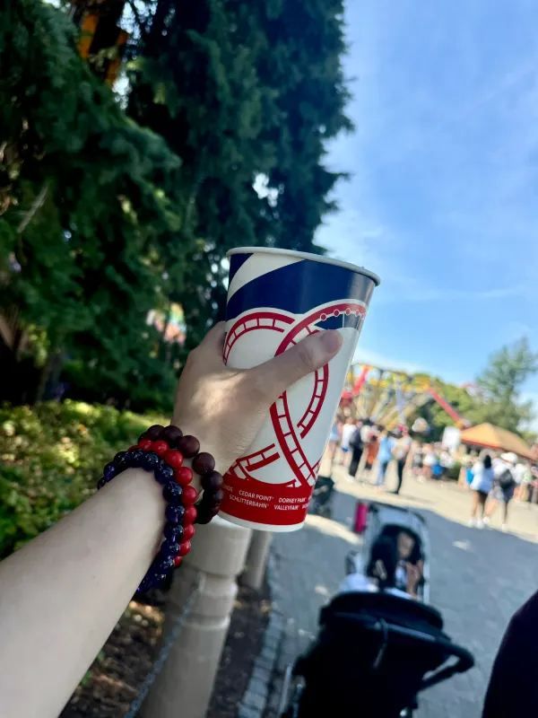 Canada's Wonderland: A Must-Visit Amusement Park