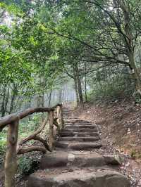 廣西貴港平天山|廣西阿勒泰