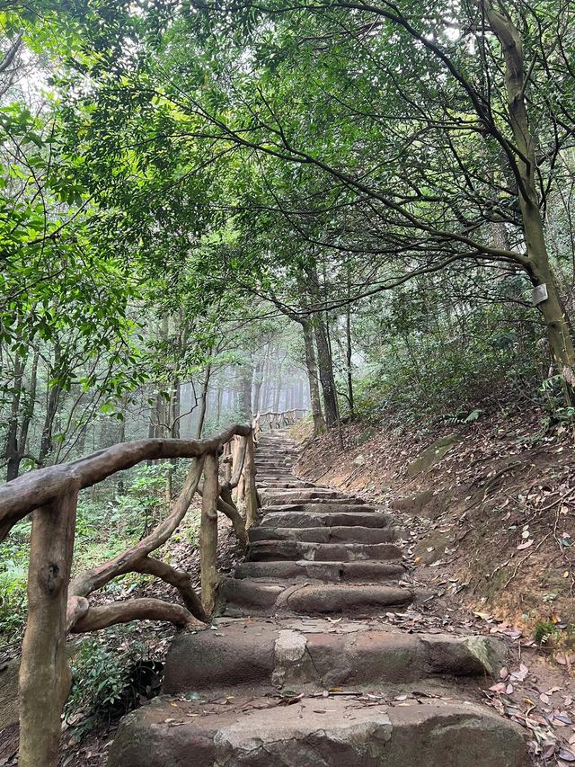 廣西貴港平天山|廣西阿勒泰