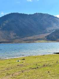 四川涼山冶勒湖｜雪山下的小北海道