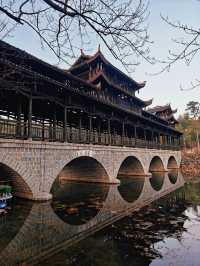 官庄·辰龍關‖一大片寧靜怡人的茶園基地
