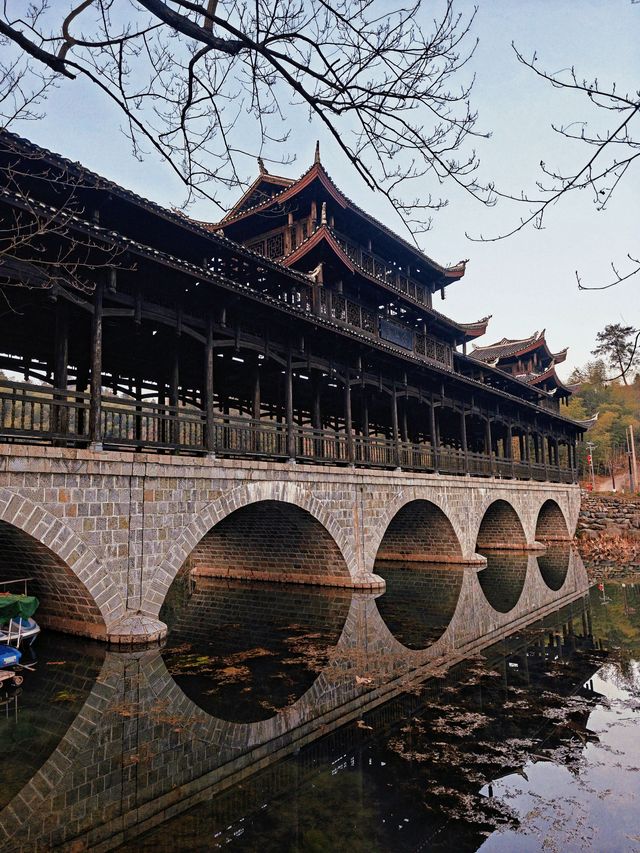 官庄·辰龍關‖一大片寧靜怡人的茶園基地