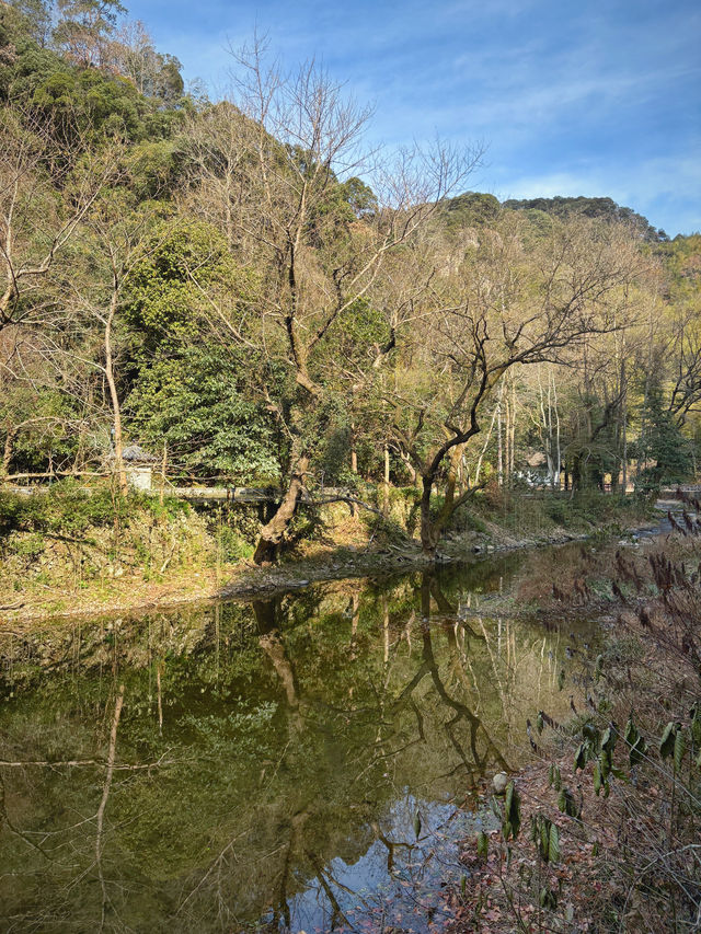 五泄：山水畫卷中的奇幻之旅