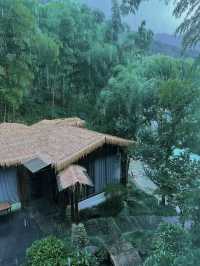 一間住喺山裏嘅氧吧民宿