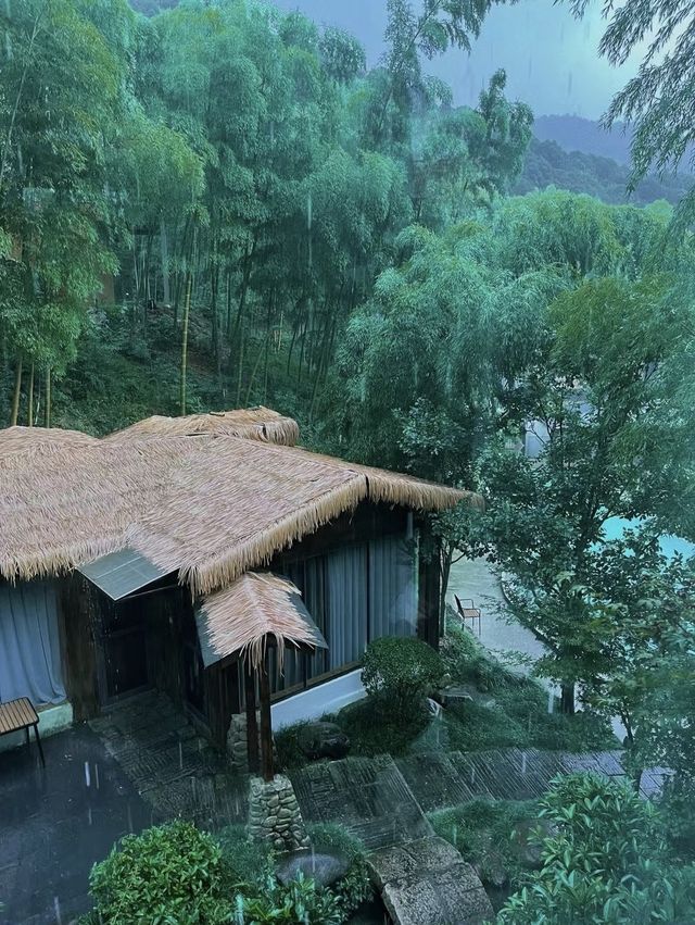 一間住喺山裏嘅氧吧民宿
